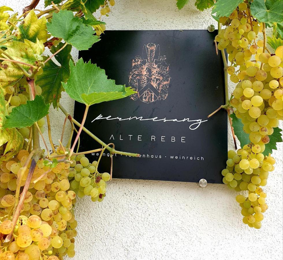 Zur Alten Rebe Ferienhaus Und Weingut Konz Esterno foto