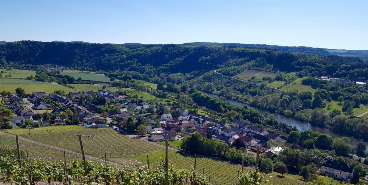 Zur Alten Rebe Ferienhaus Und Weingut Konz Esterno foto