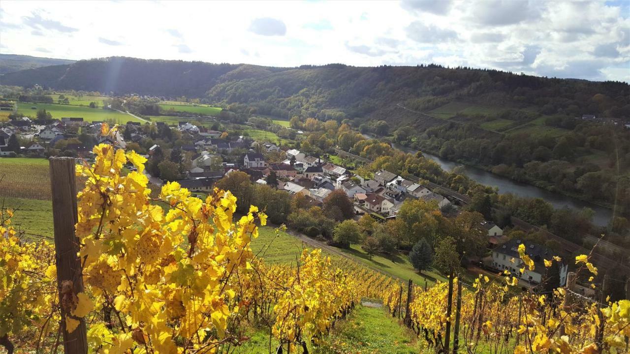 Zur Alten Rebe Ferienhaus Und Weingut Konz Esterno foto