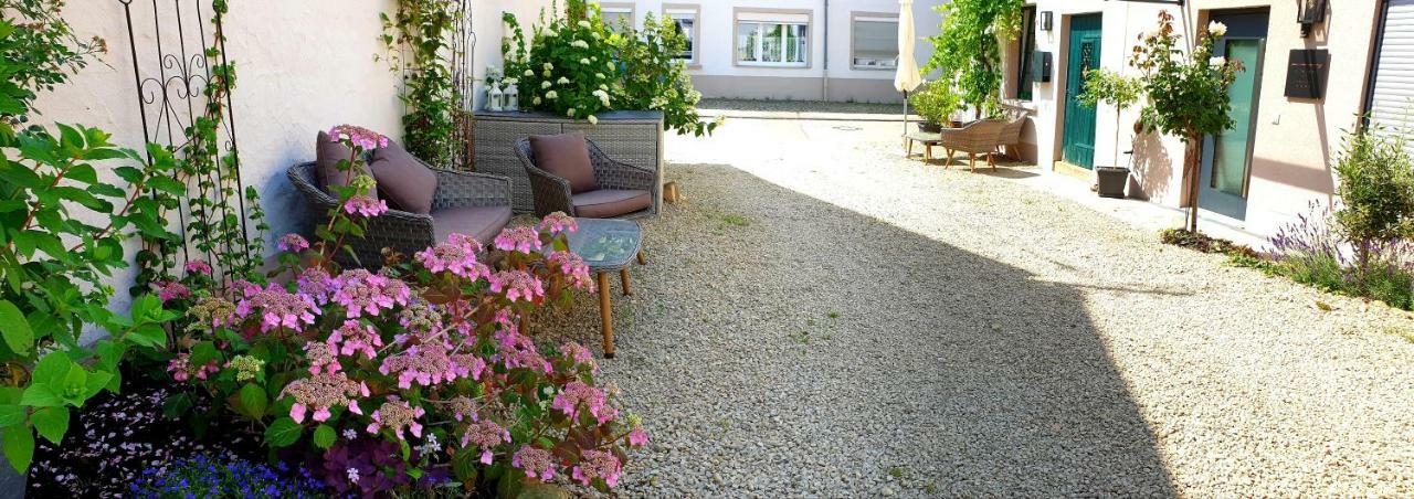 Zur Alten Rebe Ferienhaus Und Weingut Konz Esterno foto