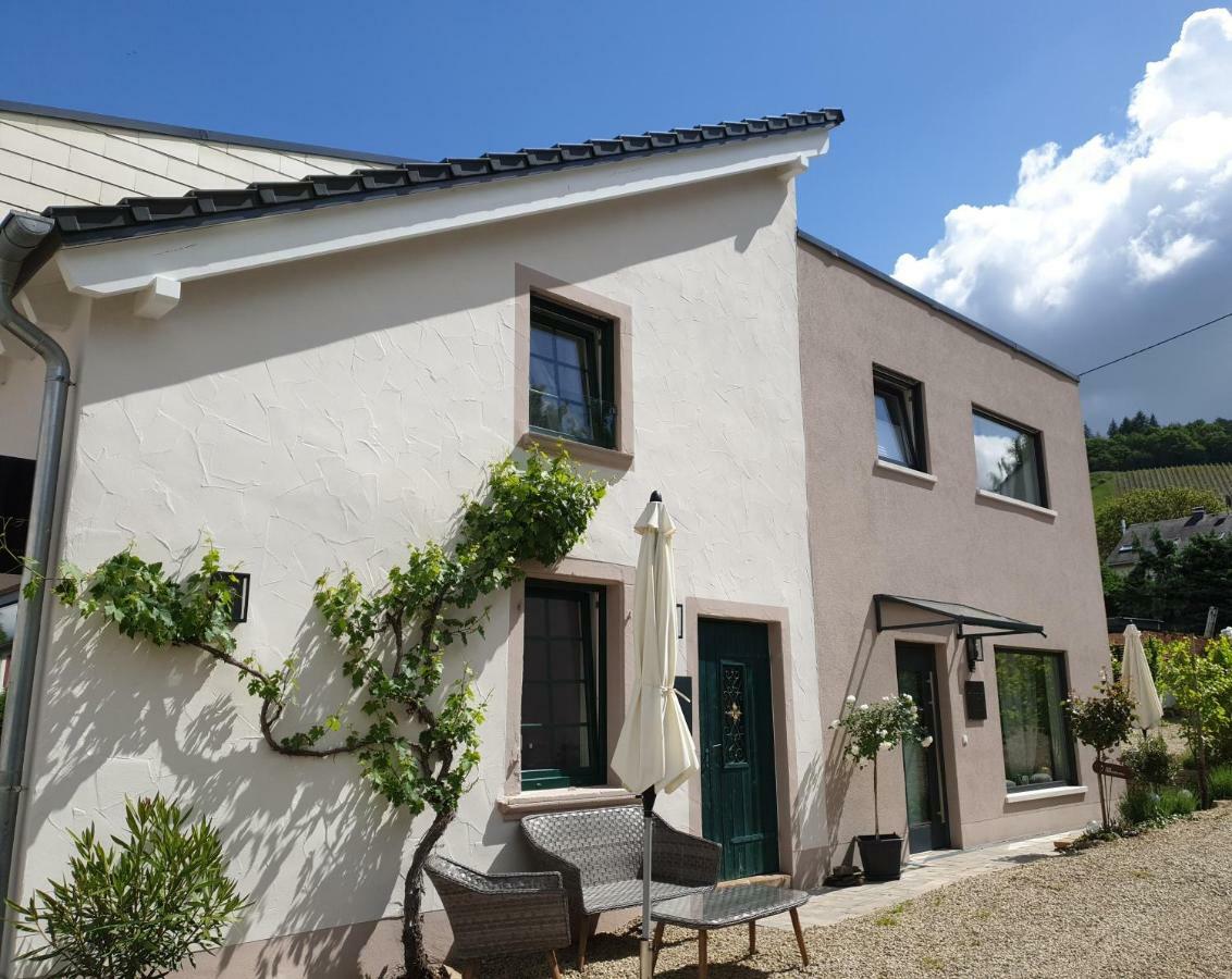 Zur Alten Rebe Ferienhaus Und Weingut Konz Esterno foto
