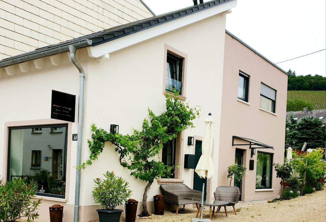 Zur Alten Rebe Ferienhaus Und Weingut Konz Esterno foto