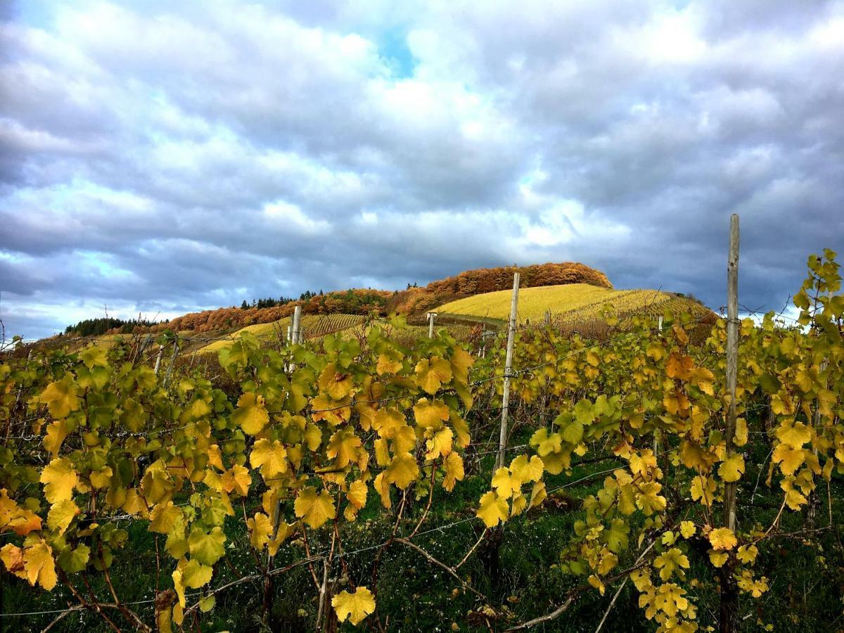 Zur Alten Rebe Ferienhaus Und Weingut Konz Esterno foto